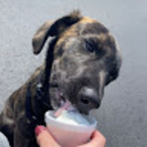 Meet your Posher, Ashlee